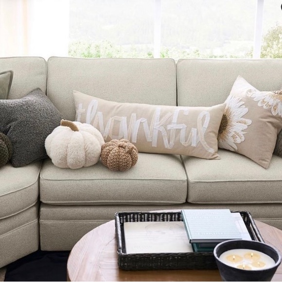 Pottery Barn Ivory Pumpkin Pillow - Picture 2 of 8